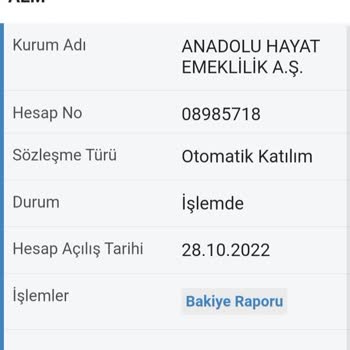 E-Devlet Üzerinden Anadolu Hayat Emeklilik Hesabımın Durumu Hakkında Bilgi Almak