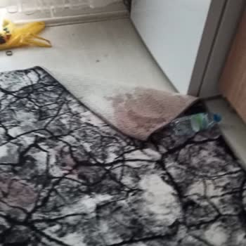 Beko Buzdolabı Geldiği Günden Bu Zaman Kadar Arıza Veriyor Sürekli