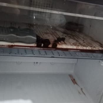 Beko Buzdolabı Geldiği Günden Bu Zaman Kadar Arıza Veriyor Sürekli