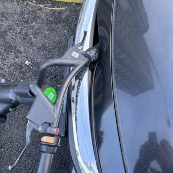 Martı Aracıma Çarpıp Kaçtı