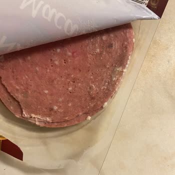 Namet Macar Salam Küf Kurt İçinde