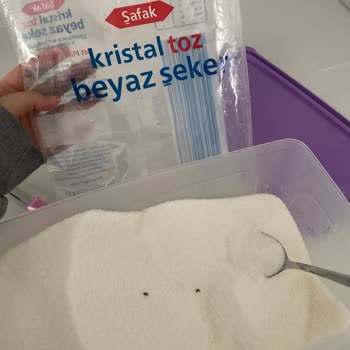 BİM Şekeri İçinde Ölü Böcekler Var