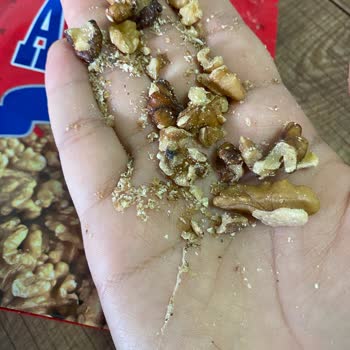 Amigo Ceviz İçi Kurtlu Satılıyor