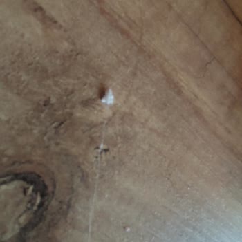Pınar Et ve Süt Süzme Peynirin İçinden Sac Çıktı!