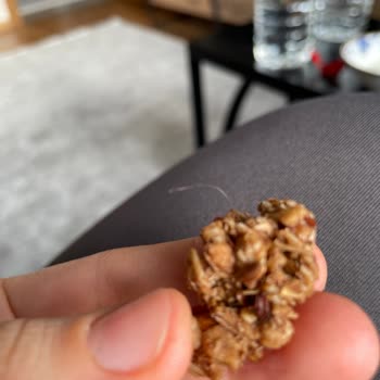 Patiswiss Granola İçinden Çıkan Kıl