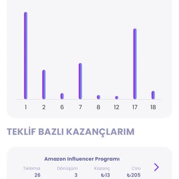 Winfluenced İş Birliği Kazancım Ciro Olmasına Rağmen Rapora Yansımıyor!