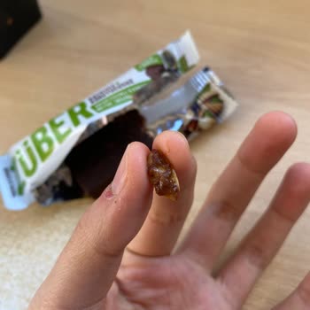 Züber Barımın İçinden Kabuk Çıktı