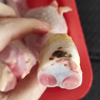 Mopaş Hipermarket Kurtköy Bozuk Tavuk Satıyor