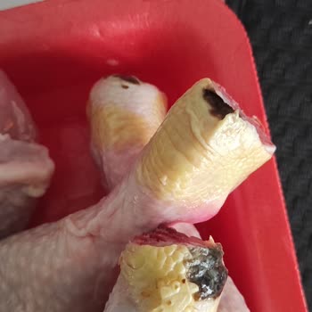 Mopaş Hipermarket Kurtköy Bozuk Tavuk Satıyor