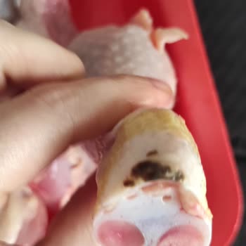 Mopaş Hipermarket Kurtköy Bozuk Tavuk Satıyor