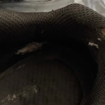 Skechers Marka Aldığım Ayakkabının İç Astarın Yırtılması