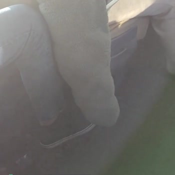 Isparta Petrol Turizm Otobüs İçinden Gelen Ve Rahatsız Edici Ses Ses