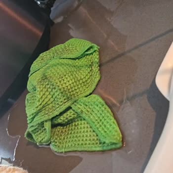 PHILIPS Elektrikli Düdüklü Tencere