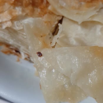 Levent Börekçilik Börekten Böcek Çıktı