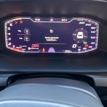 Cupra Formentor Deri Çatlakları