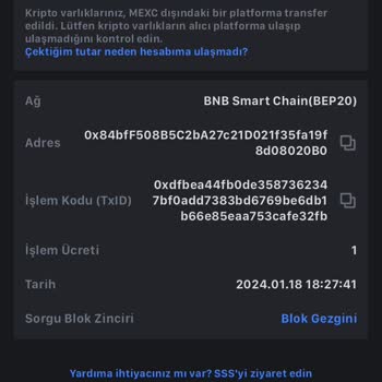 Trust Wallete Ulaşmayan USDT
