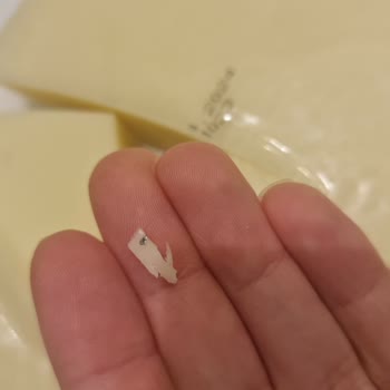Kebir Kolot Peynirinden Çıkan Metal