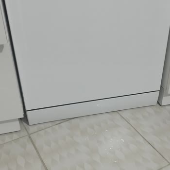 SEG Bulaşık Makinesi Su Akıtıyor