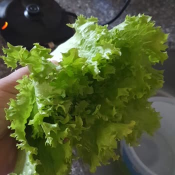 Migros Bursa Kestel Mağazası Kalitesiz Ürün Yolladı