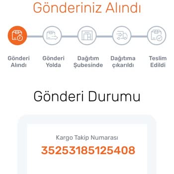 Sürat Kargo Gelmek Bilmeyen Muamma Kargo