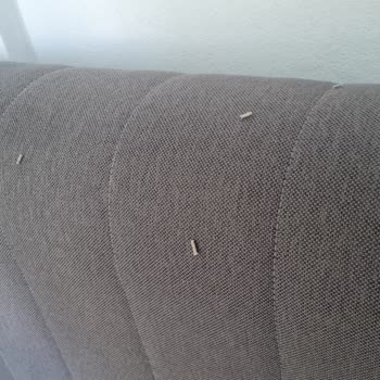 Yataş Enza Home Garantideki Bazası Kurtlandı Ve Yamuldu Değişim Yok