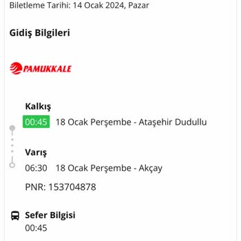Pamukkale Turizm P******** Tur Gibi Çok Kurumsal Firma Yolcularını Arıza İle Mahvetti