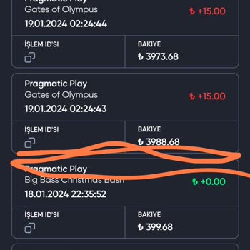 Baywin Kazancıma El Koydu