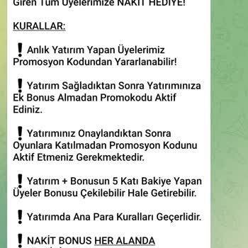 Baywin Kazancıma El Koydu