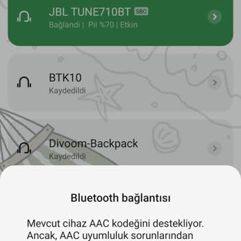 JBL 710 Uygulamaya Bağlanmıyor