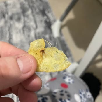 Lays Güvenimi Sarsan Cips Hüsranı