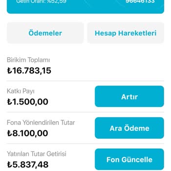 Türkiye Hayat Emeklilik Turkiye Hayat Emeklilik Provizyonda Bekletilen Tutar