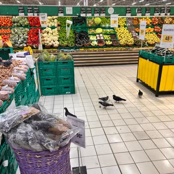 Migros AVM İçindeki Marketin Gıda Güvenliği Sorunları