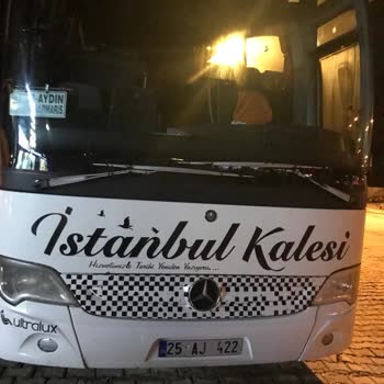 İstanbul Kalesi Seyahat Kutusunda 6 Aylık Aşı Karneli Fold Kedimin Bagaj Harici Taşınmaması