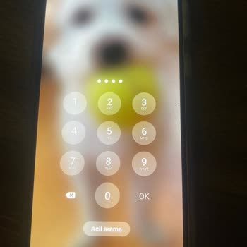 Samsung A33 Plus Ekran Pin Hatası