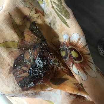 Madame Coco Granit Tencere Dibi 1 Yıl Olmadan Attı