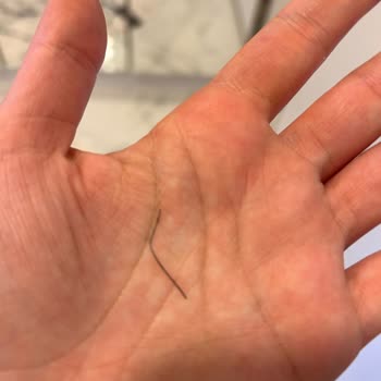 Harras Dondurulmuş Simit Ürününde Beklenmedik Madde Bulundu