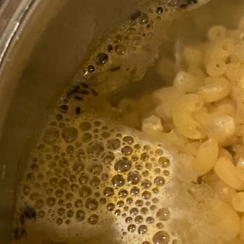 Knorr Mac And Cheese Böcek Kurtçuk