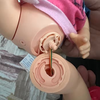 Gardrops Kartıma İade Yapmadı Satıcı Teslim Almasına Rağmen