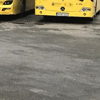 İBB Otobüs Şoförü Sorunu