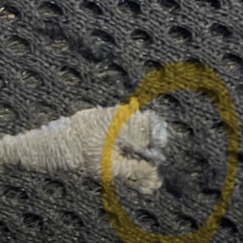 Doğan Çanta 1 Aylık Ayakkabıya Arkasında Durmadı