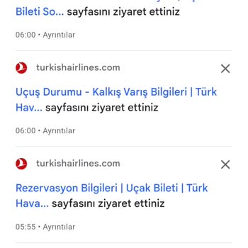 THY Online Check-in Problemi