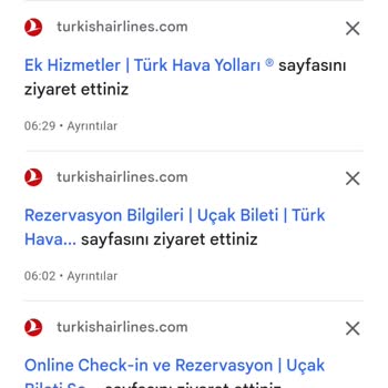 THY Online Check-in Problemi