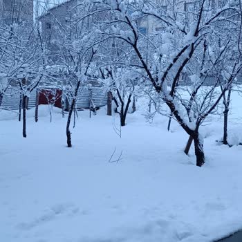 Vaillant Kombi Arızası Ve Servisin İlgilenmemesi