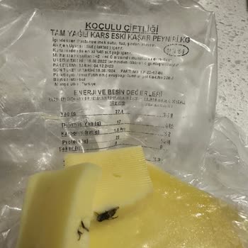 Koçulu Peynircilik Kaşardan Kara Sinek Çıktı