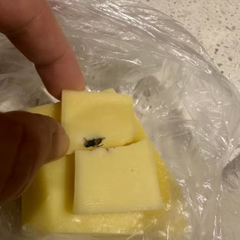 Koçulu Peynircilik Kaşardan Kara Sinek Çıktı