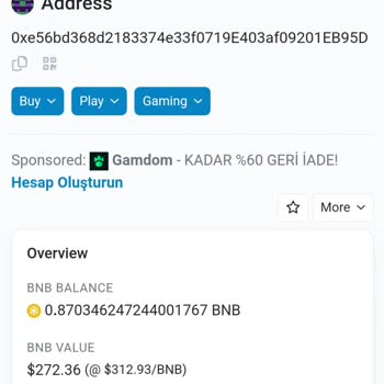 Bir Gecede Paramı Buhar Eden Trust Wallet