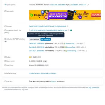 Bir Gecede Paramı Buhar Eden Trust Wallet