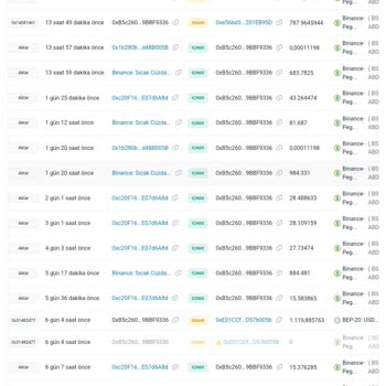 Bir Gecede Paramı Buhar Eden Trust Wallet