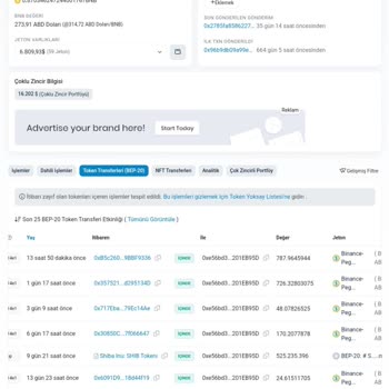 Bir Gecede Paramı Buhar Eden Trust Wallet