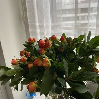 ÇiçekSepeti Ciceksepeti.com İsmini Yesillik.com Diye Değiştirsin.